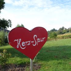 Wandertag rund um Gleichenberg – Herzspur, Naturlehrpfad, Parapluiberg