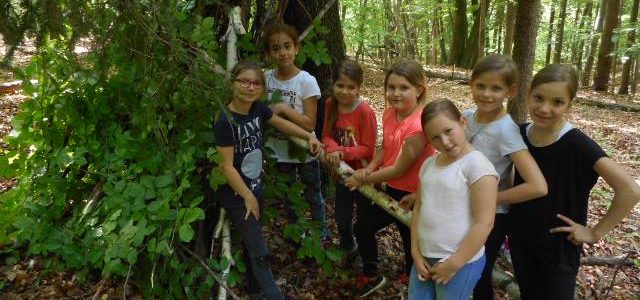 Projekt WALDSCHULE der 3b Klasse